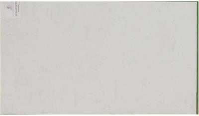 CALACUTTA VICENZA Quartz