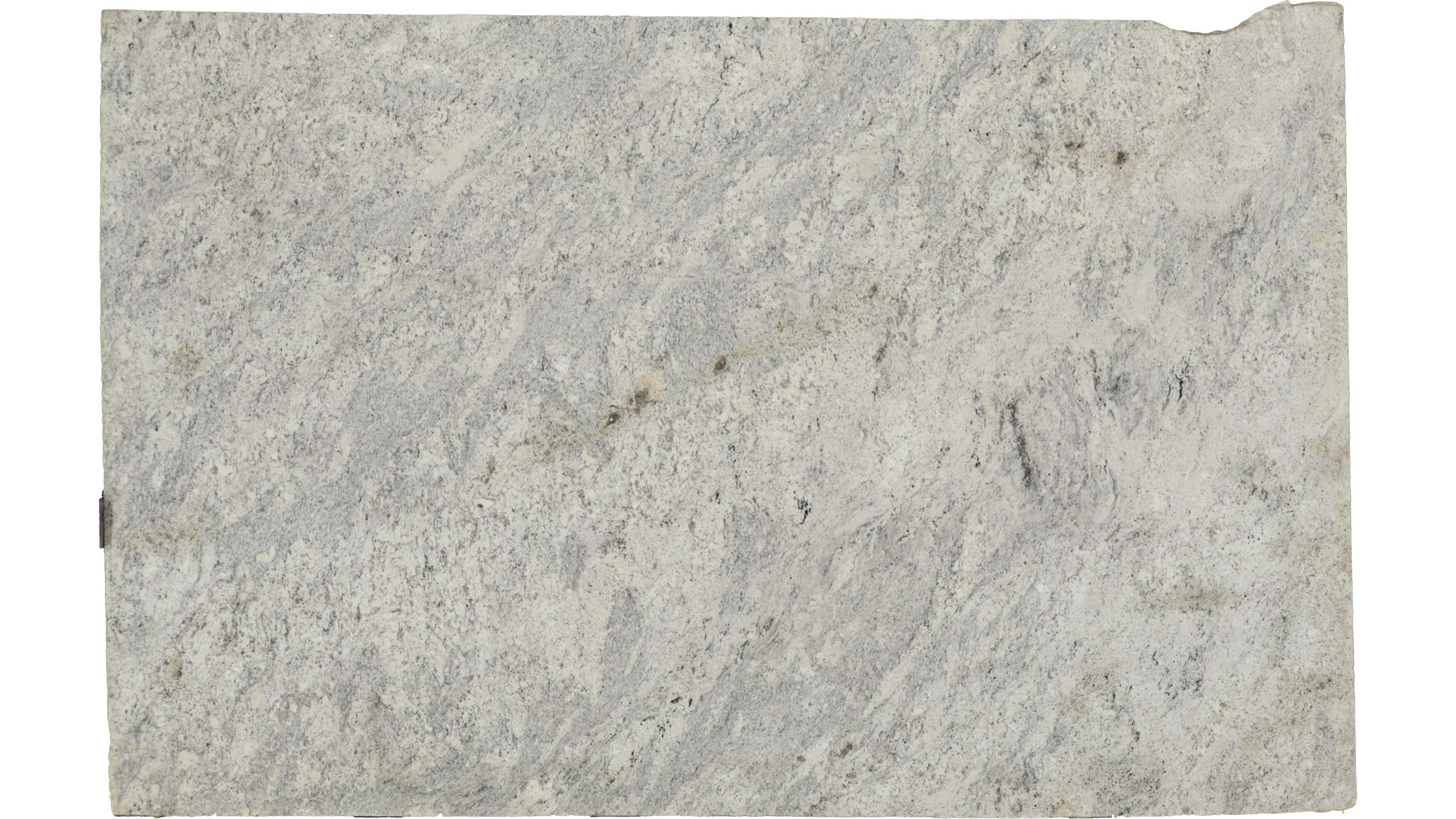 Ivory Silk Granite Slabs