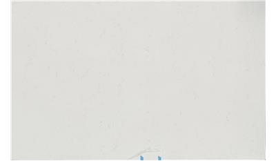 Carrara Breve Quartz