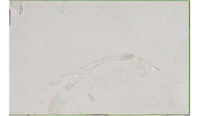 Carrara Marmi Quartz