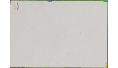 MISTY CARRERA Quartz