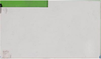 Calacatta Vicenza Quartz