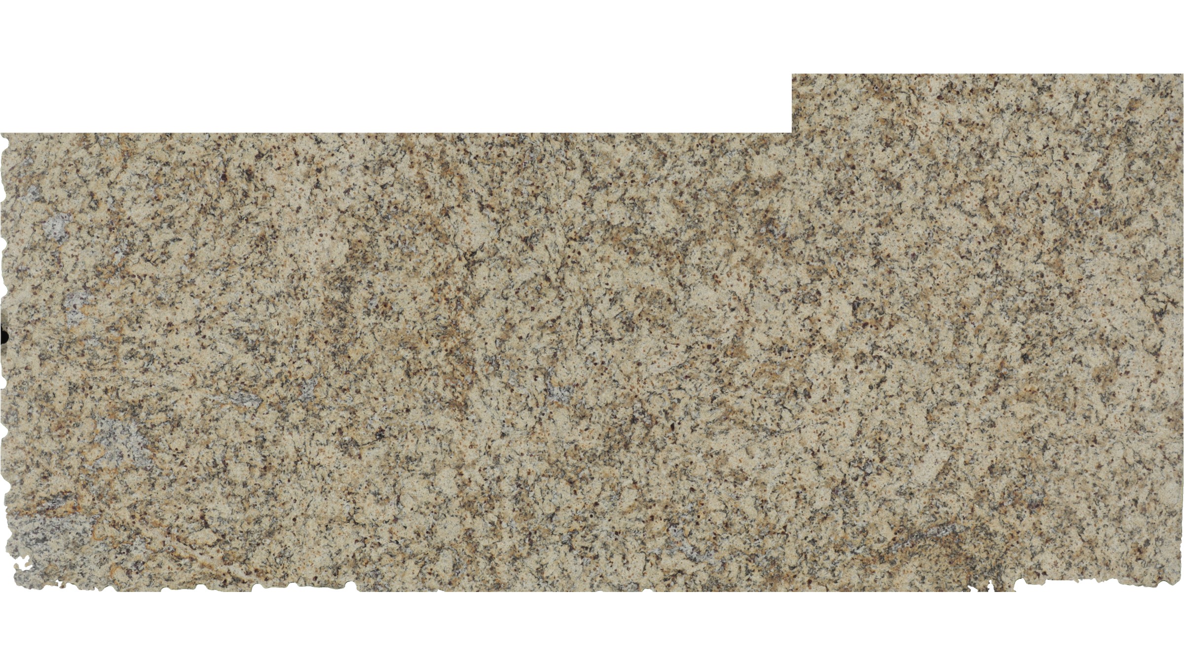 Santa Cecelia Granite Slabs