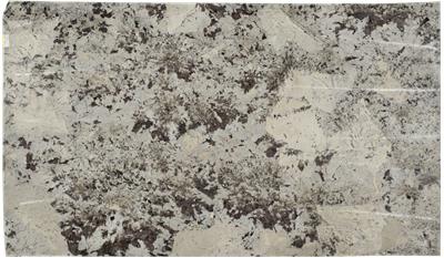 White Splendor Granite