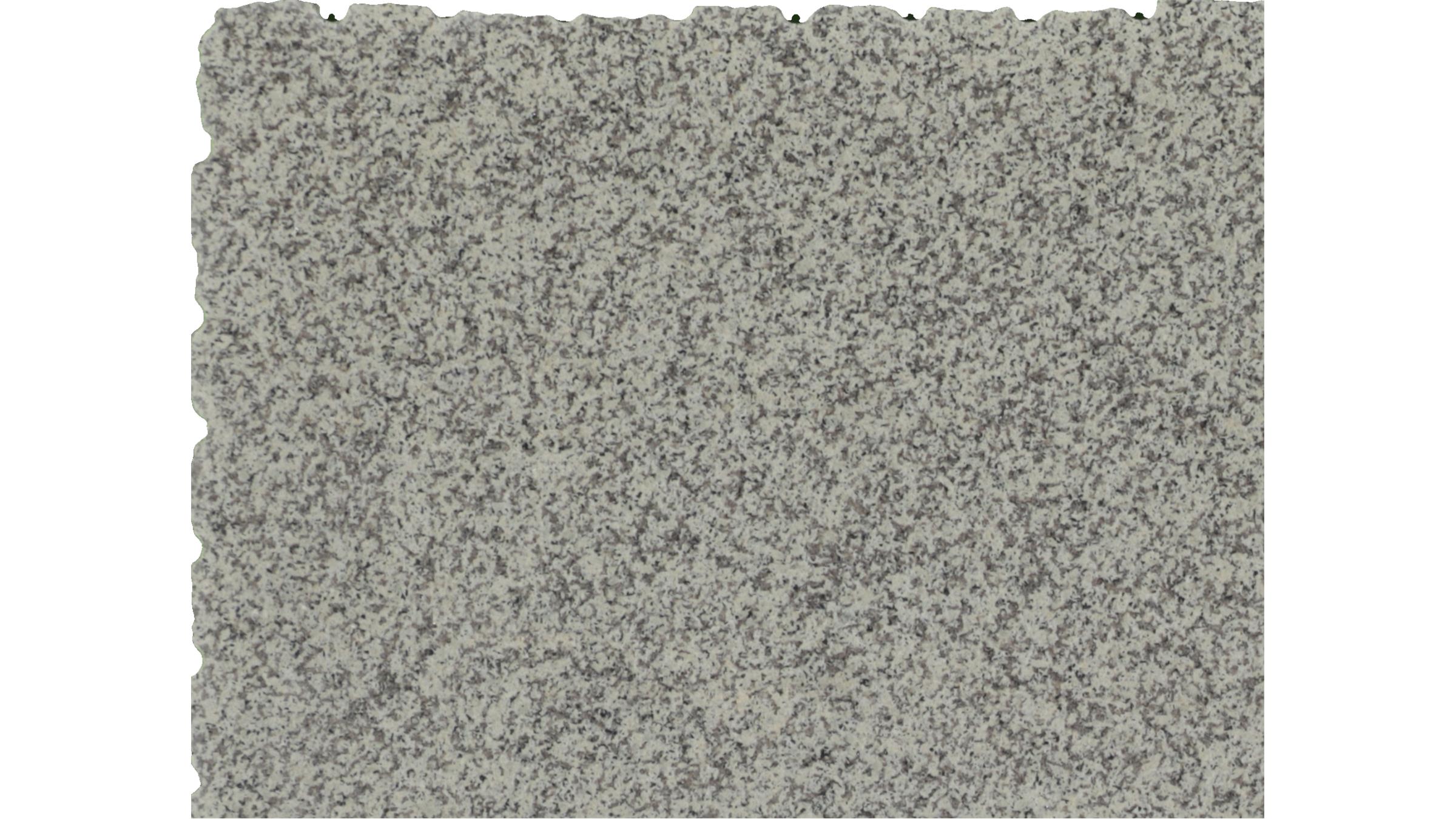 CREAMA ATLANTICO Granite Slabs