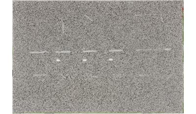 CREMA ATLANTICO Granite