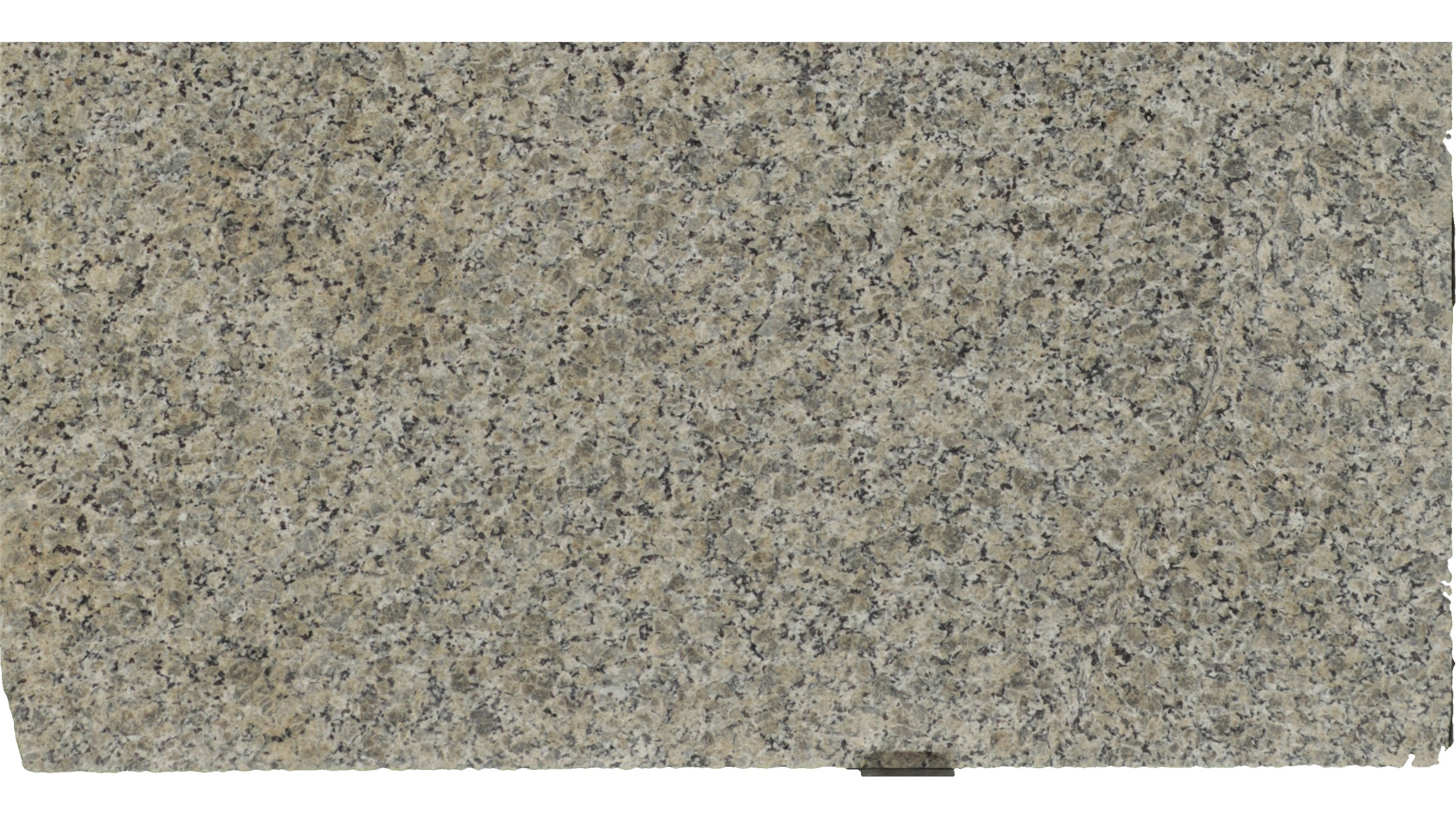 BEIGE BUTTERFLY Granite Slabs