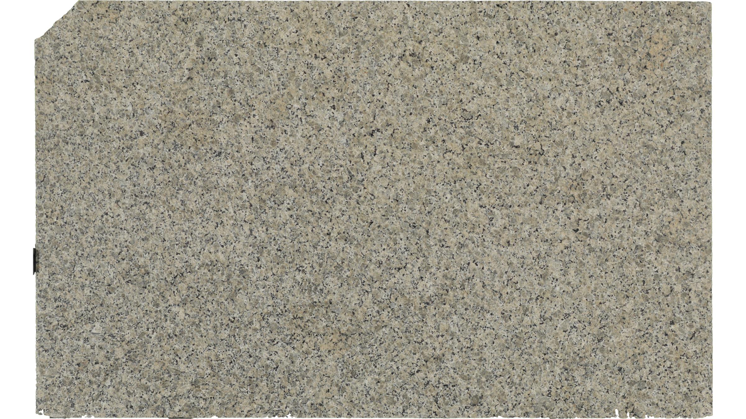 BEIGE BUTTERFLY Granite Slabs