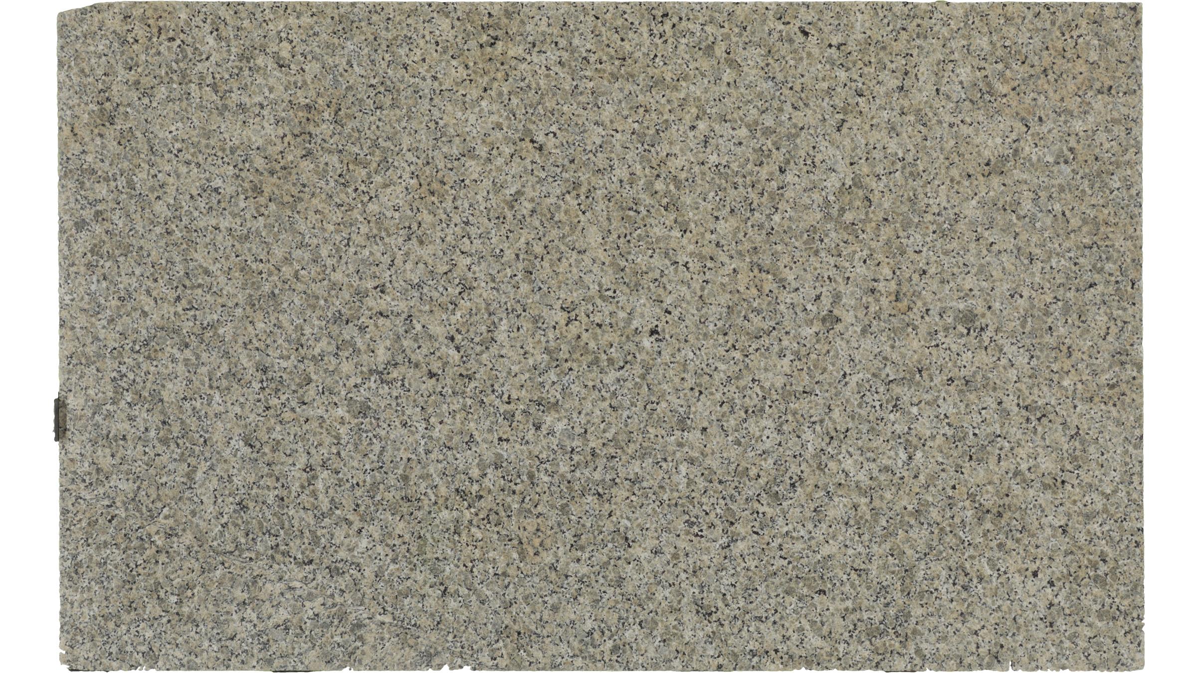 BEIGE BUTTERFLY Granite Slabs