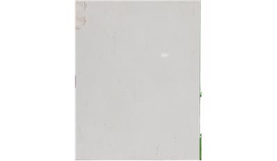 Calacatta Vicenza Quartz