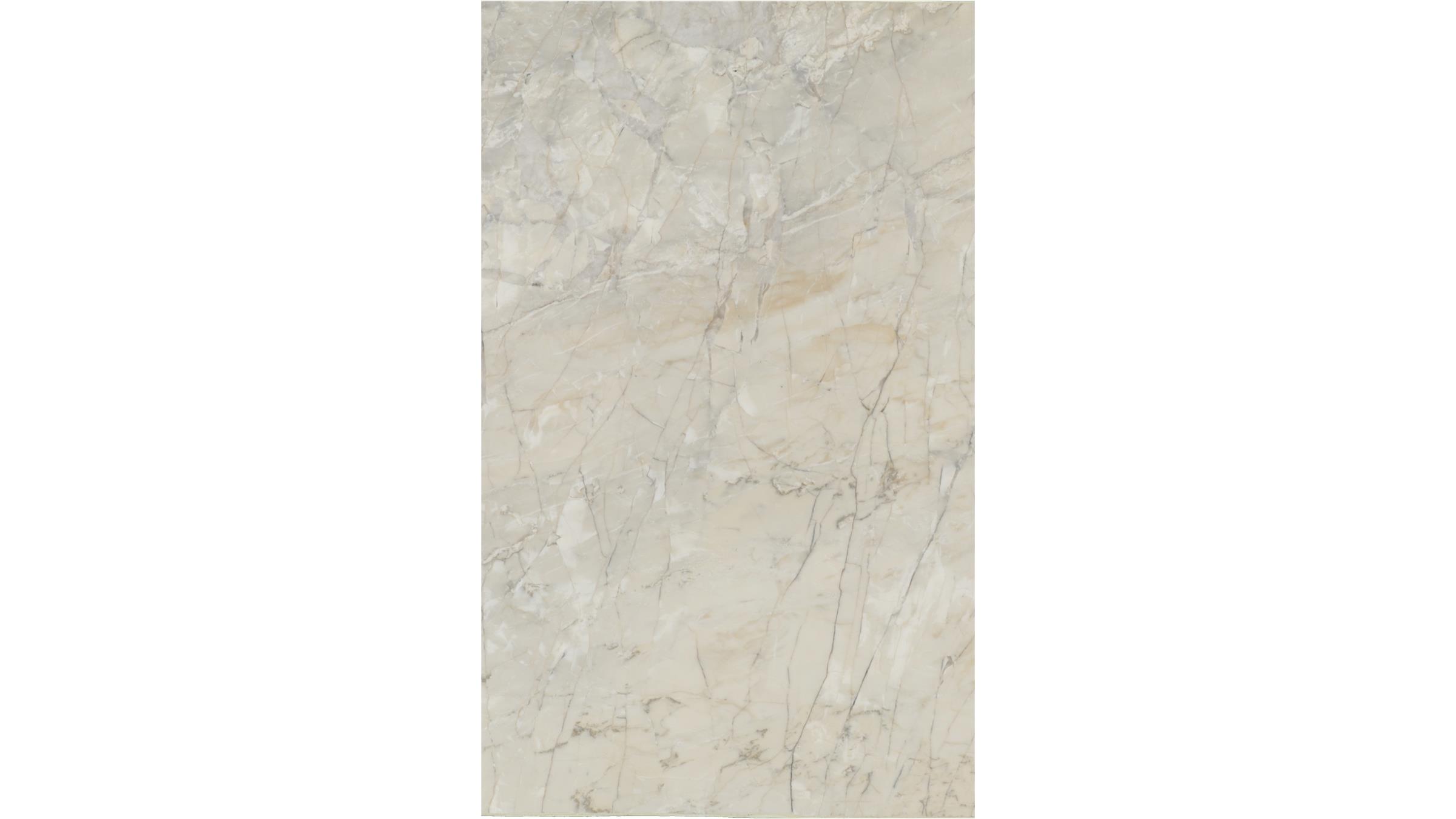 ELIXIR LEATHER Quartzite Slabs