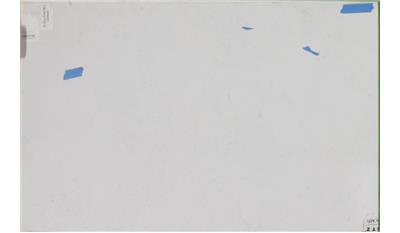 Calacatta Vicenza Quartz