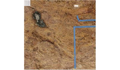 GOLDEN CAPELA Granite