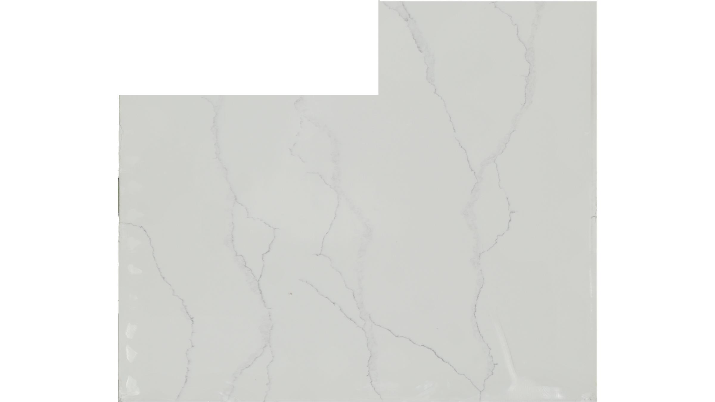 Fantastico Quartz Slabs