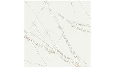 Calacatta Royale Quartz