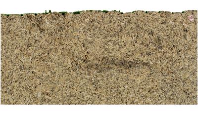 NEW VENETIAN GOLD Granite