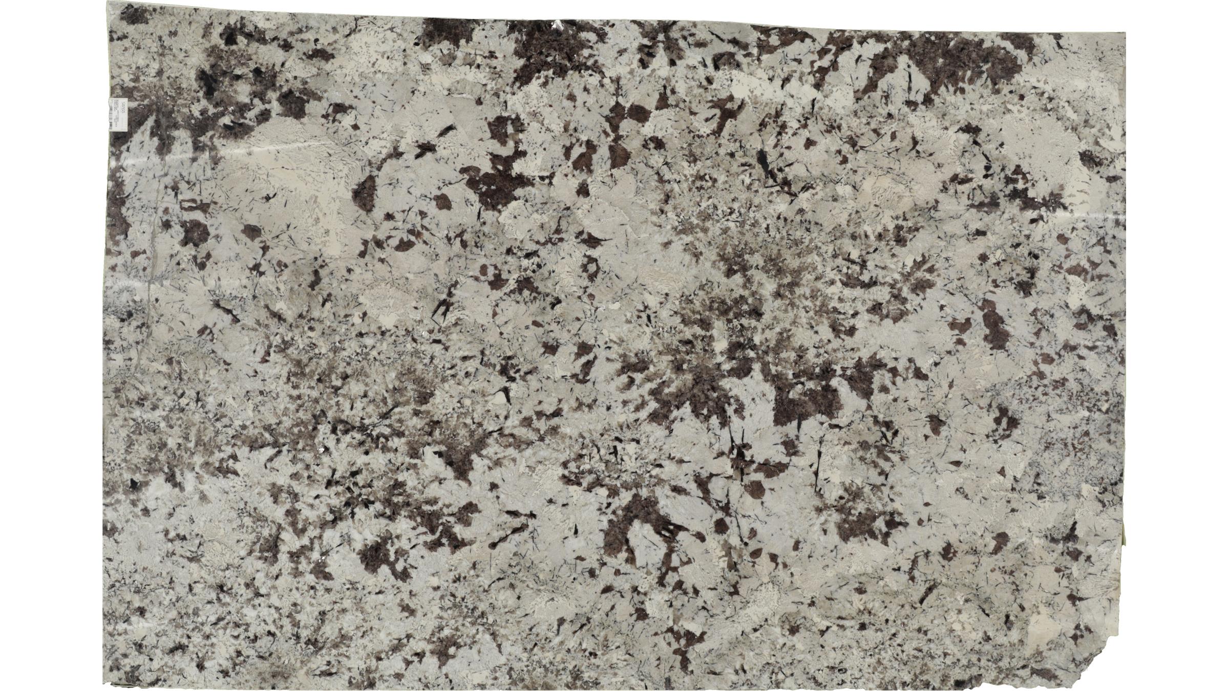 White Splendor Granite Slabs