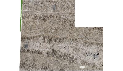 DESERT BLOSSOM Granite