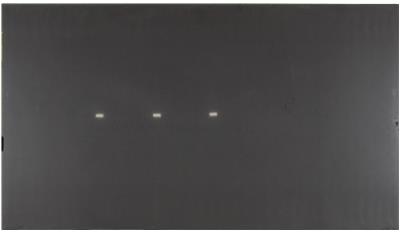 Concrete Grey Quartz