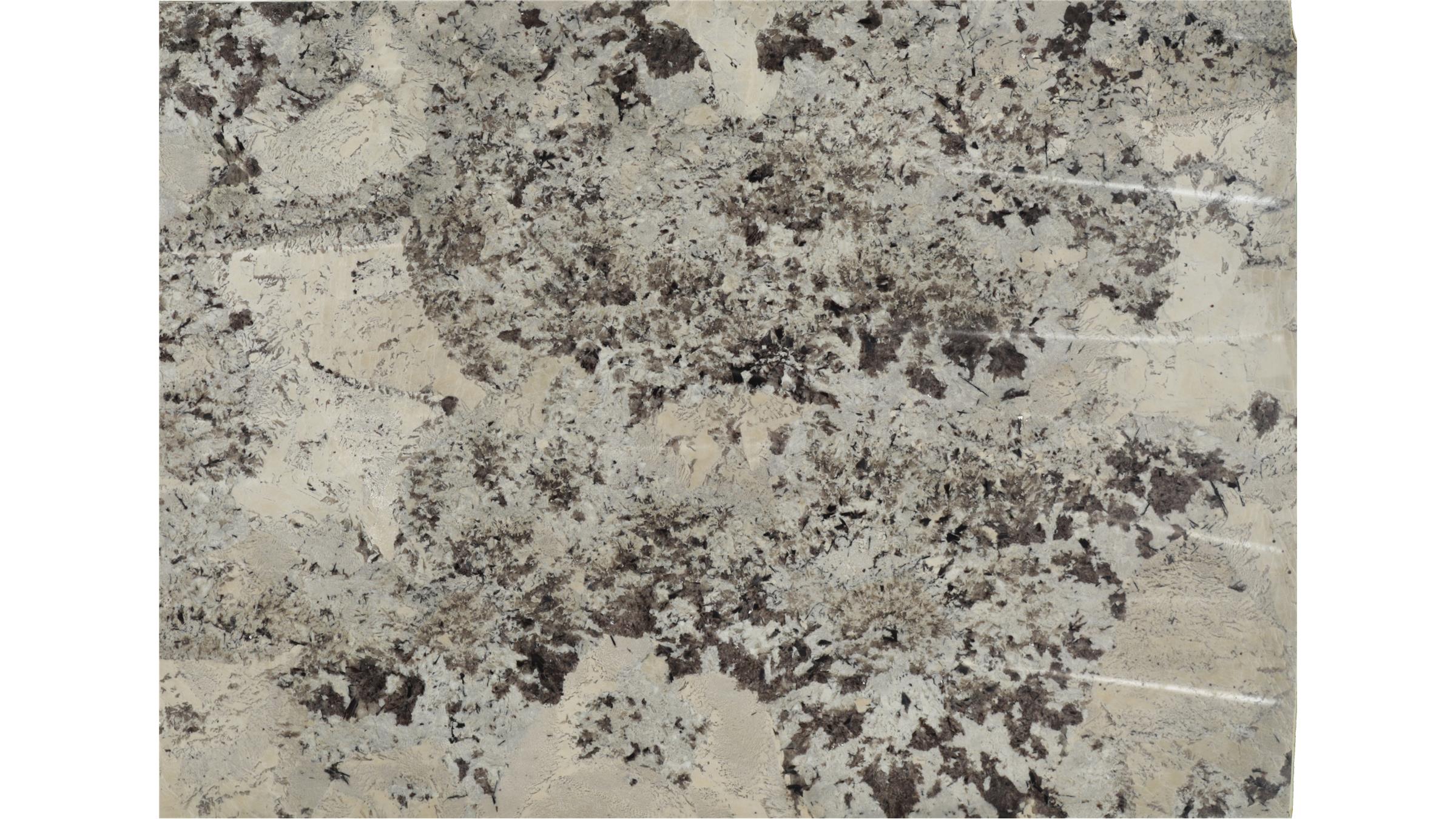 White Splendor Granite Slabs
