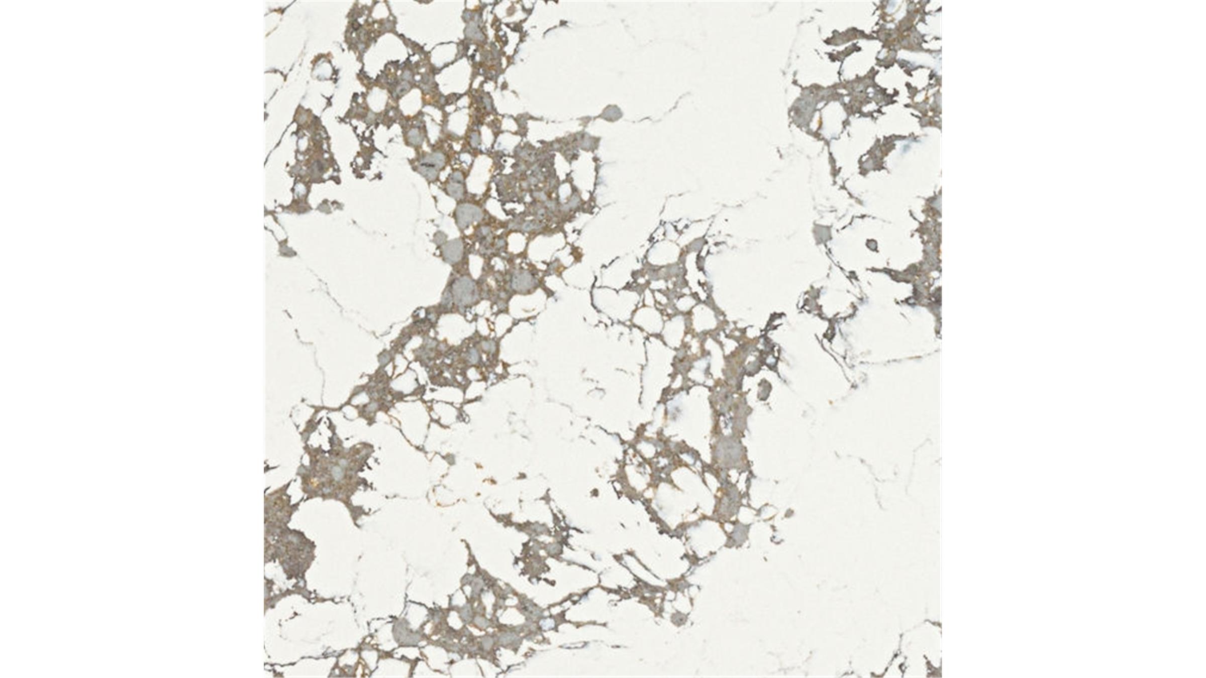 Artic Arabescato Quartz Slabs