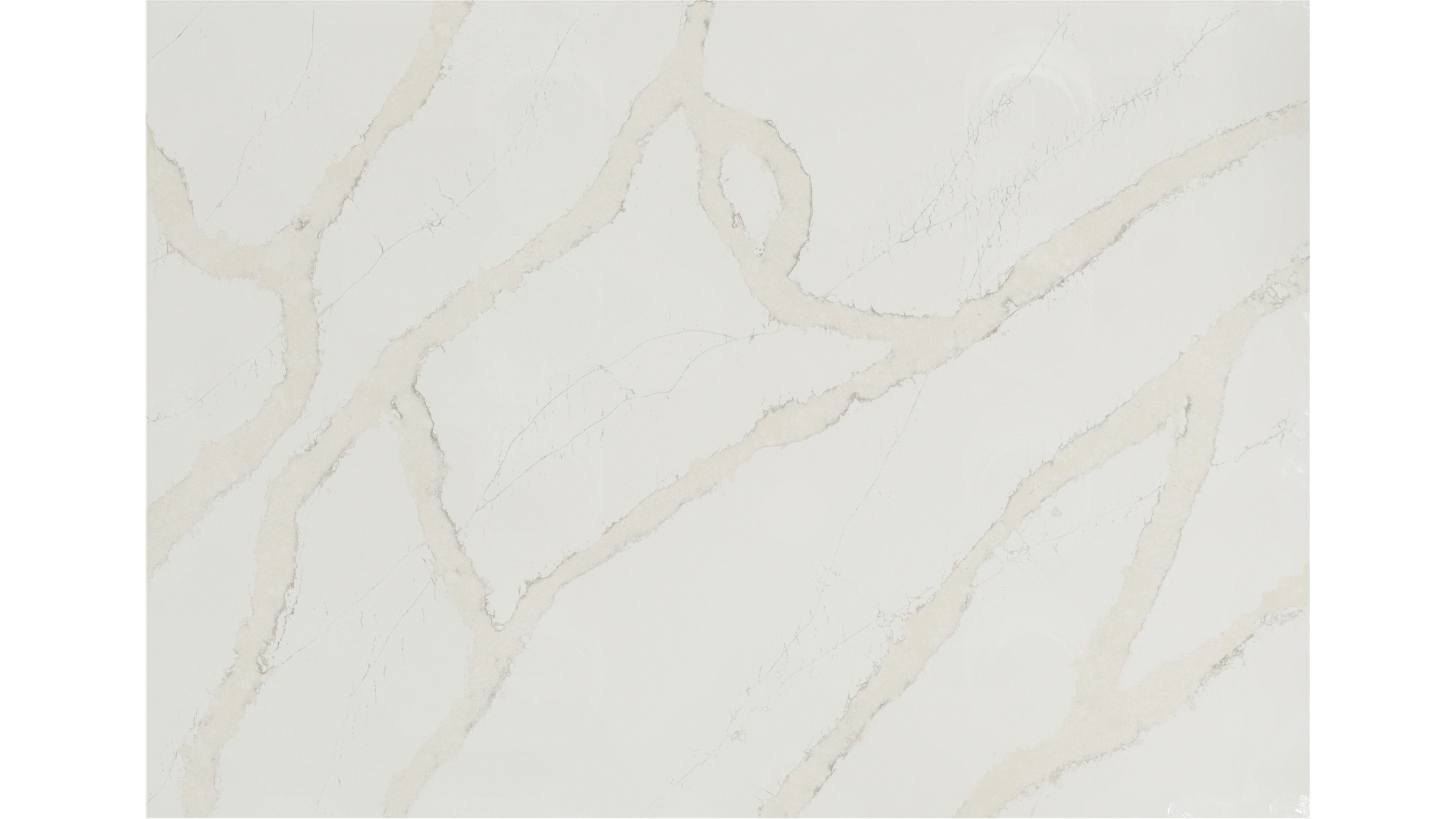 Calacatta Goa Quartz Slabs