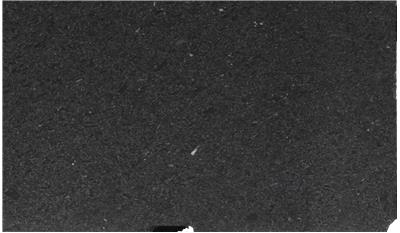 Black Pearl Granite