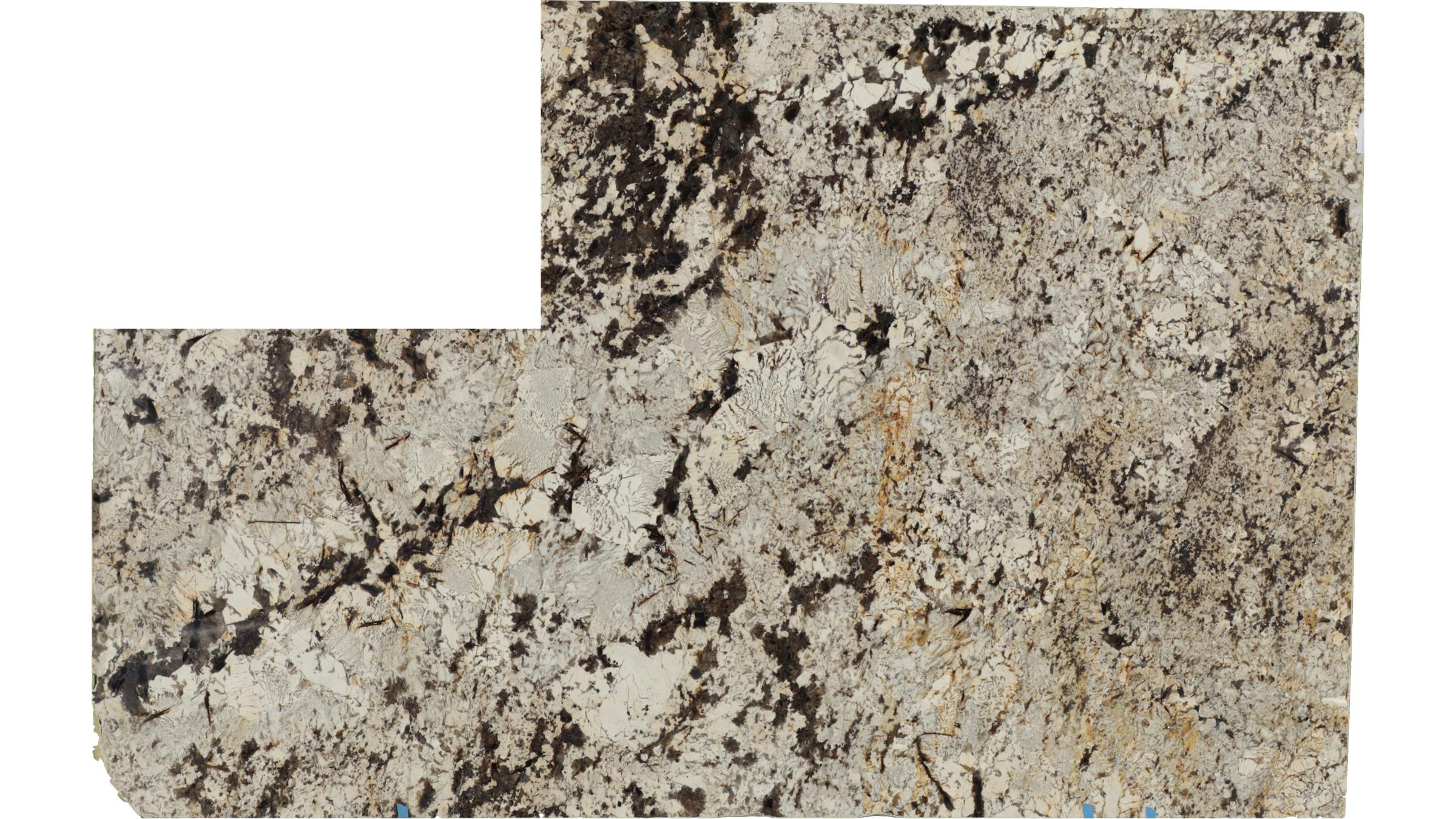 CAROLINE SUMMER Granite Slabs