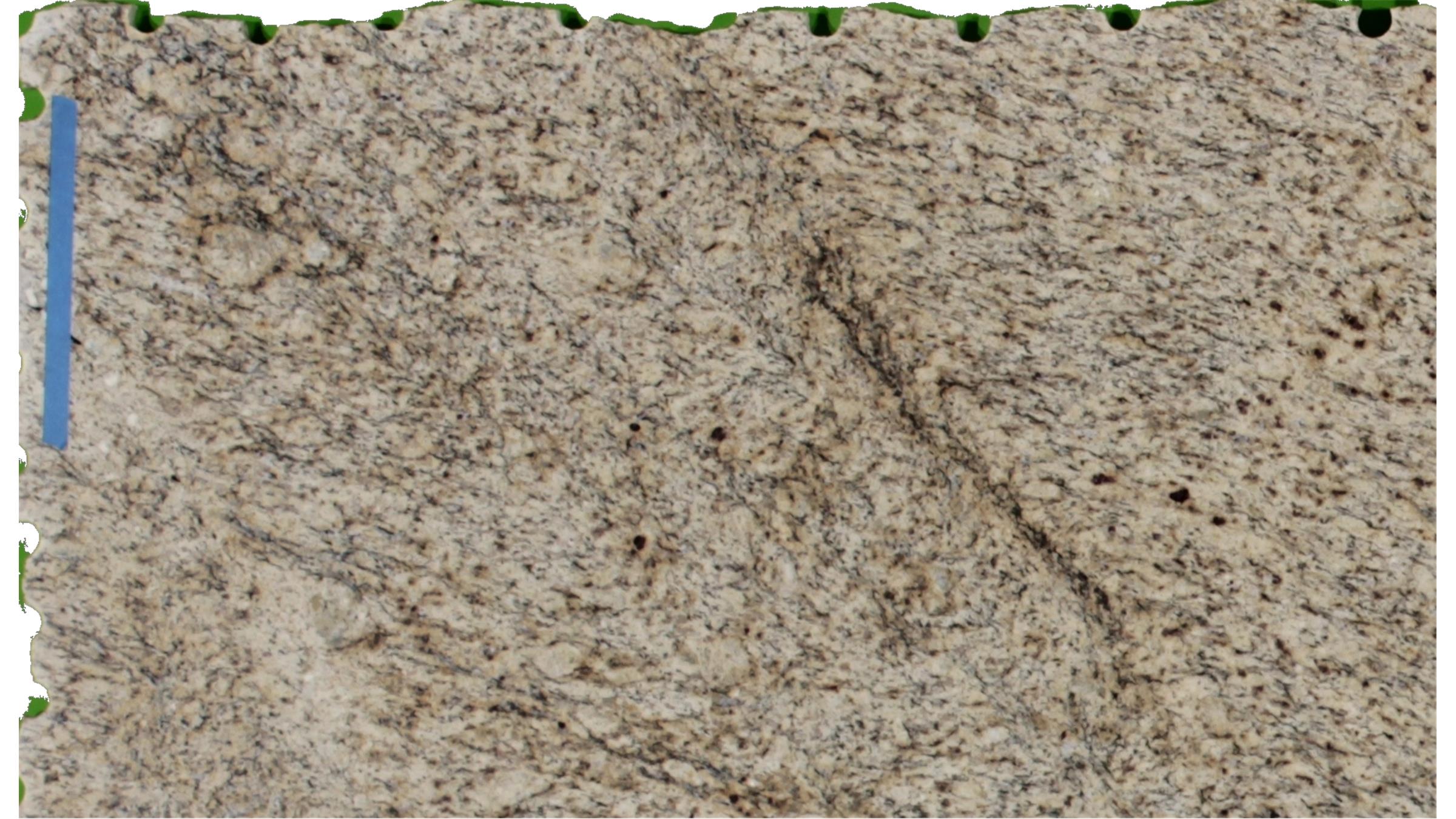 Giallo Ornamental Granite Slabs