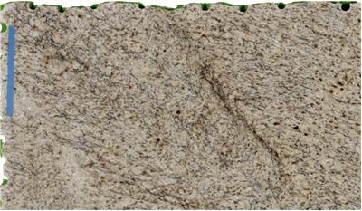 Giallo Ornamental Granite