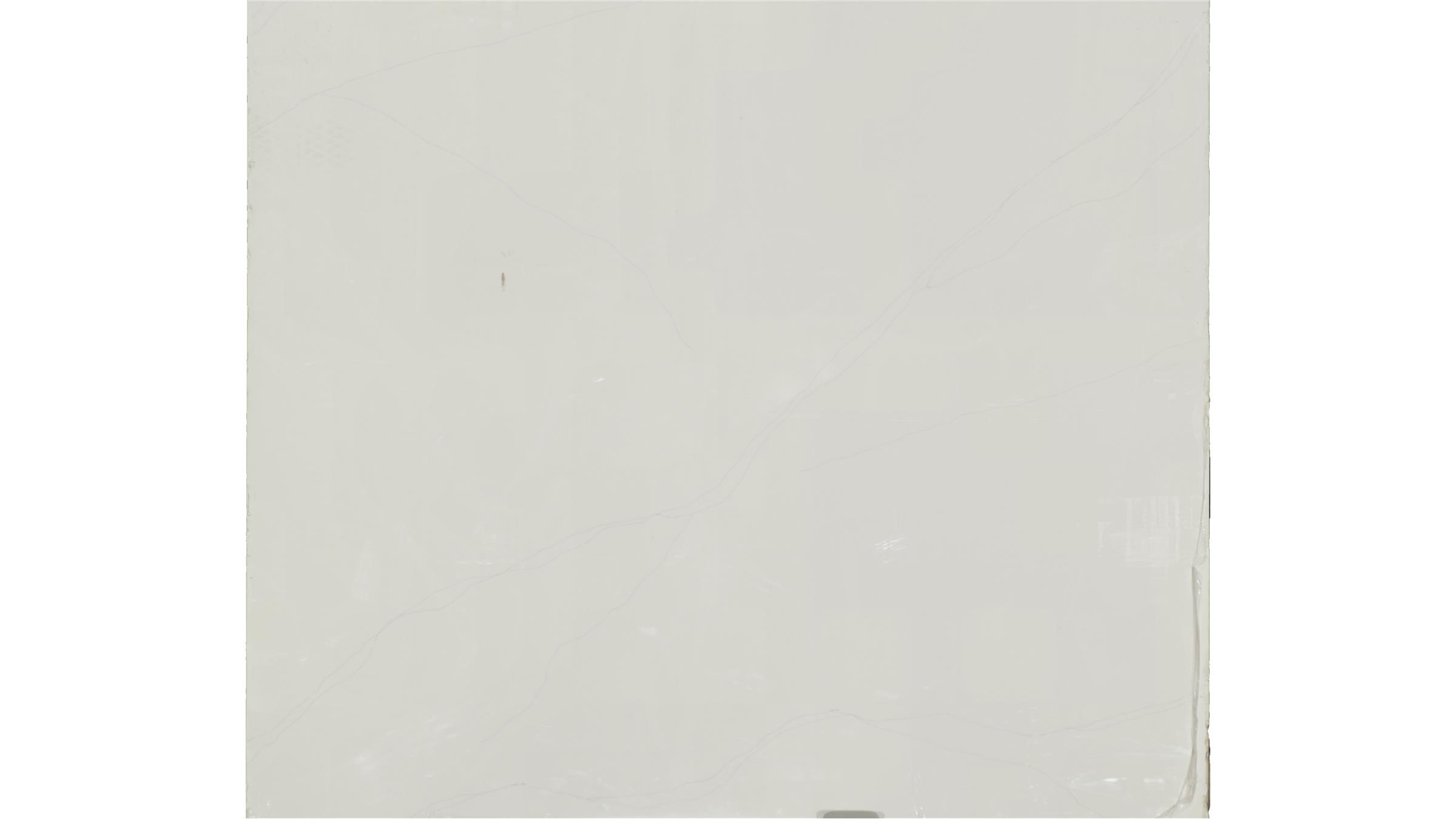 Calacatta trevi Quartz Slabs