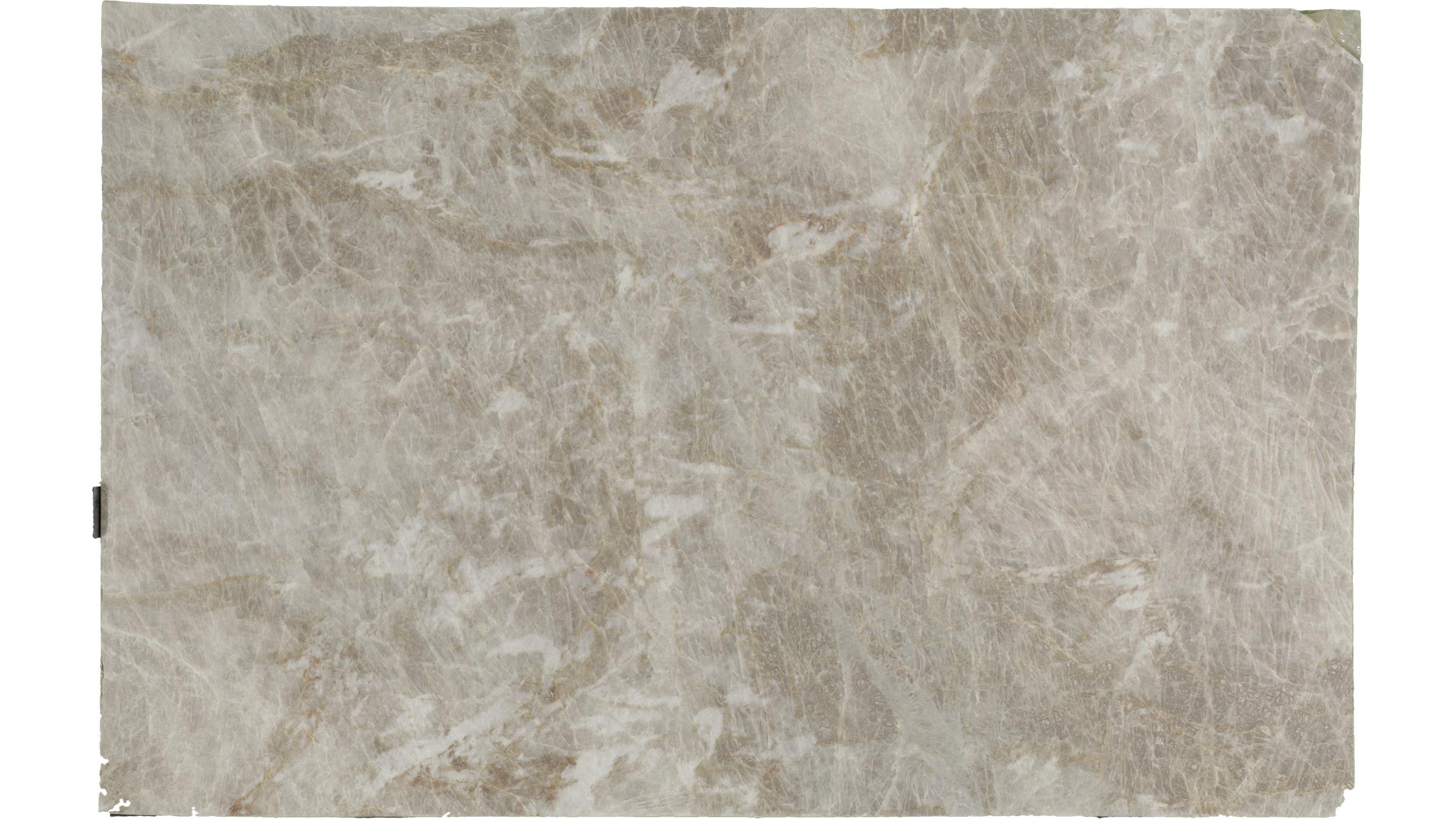 TAJ MAHAL LEATHER Quartzite Slabs