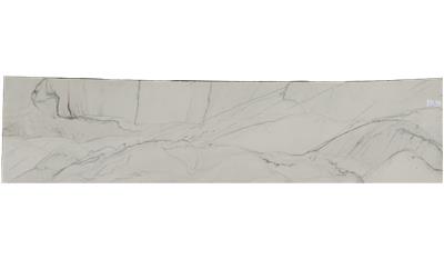 FLORIDA Wave Granite