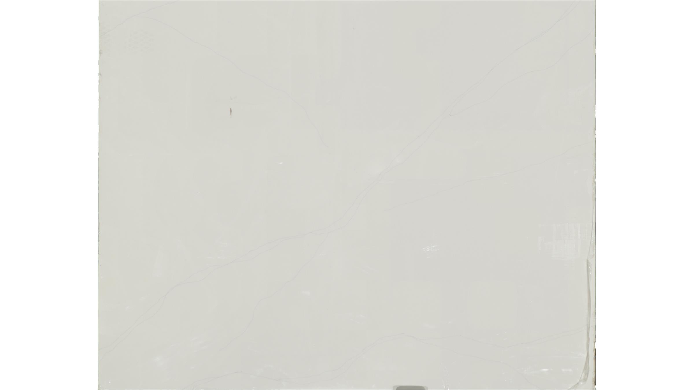 Calacatta trevi Quartz Slabs
