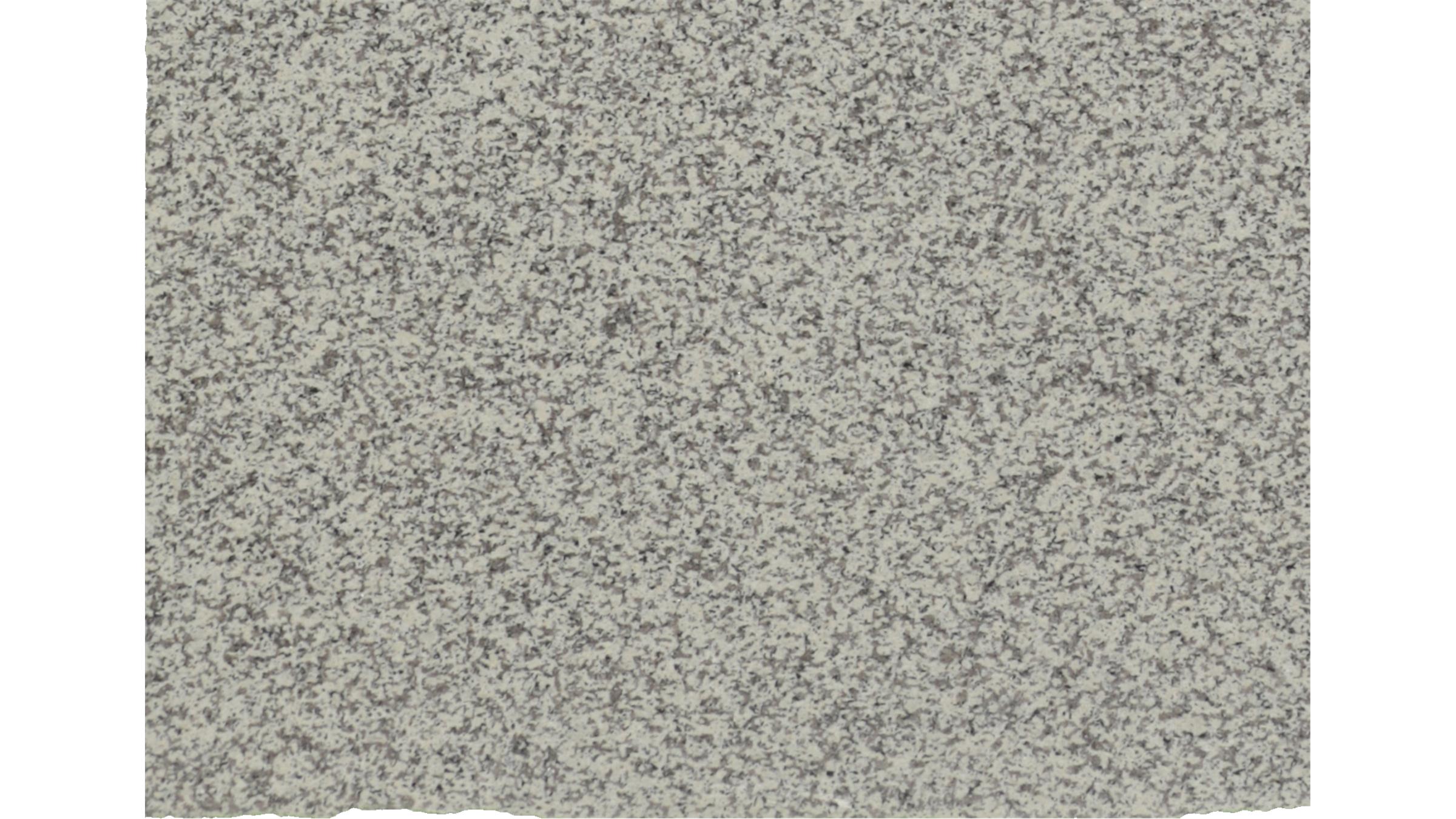 CREAMA ATLANTICO Granite Slabs