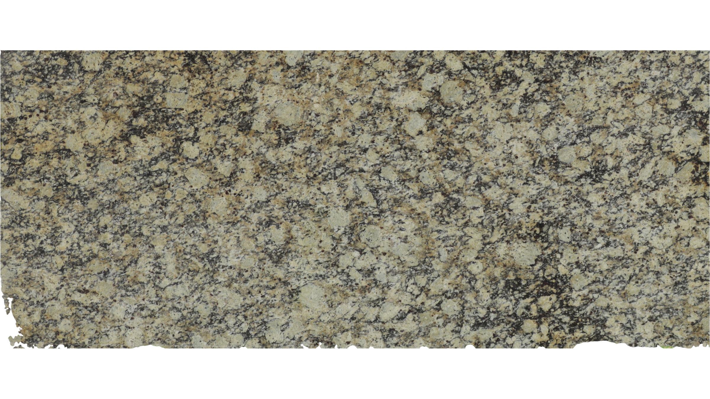 copper lace Granite Slabs