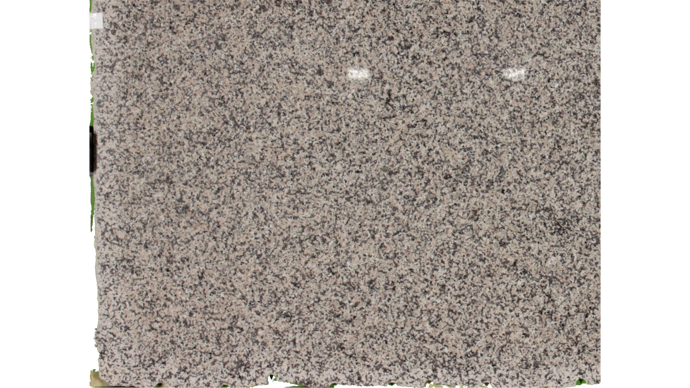 CARAMEL FANATASY Granite Slabs