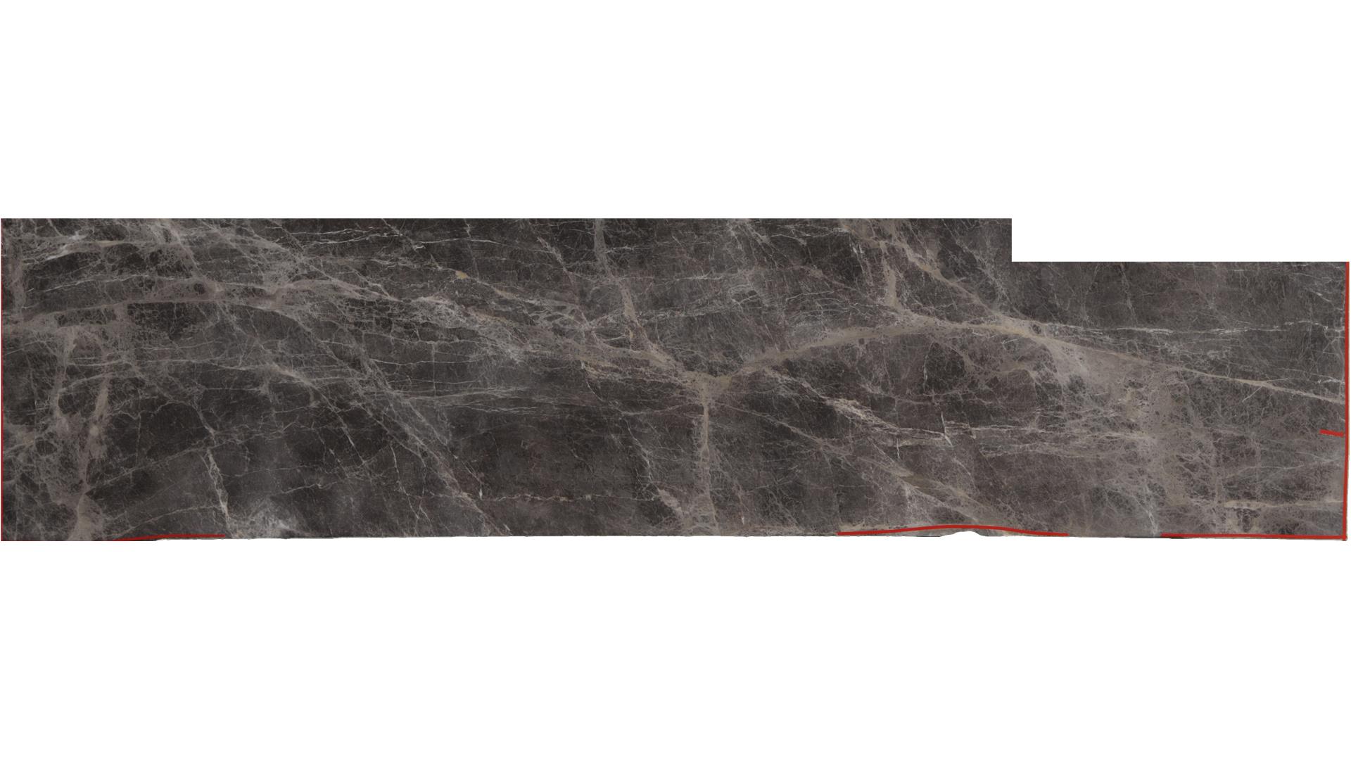 Elegant Grey Quartzite Slabs