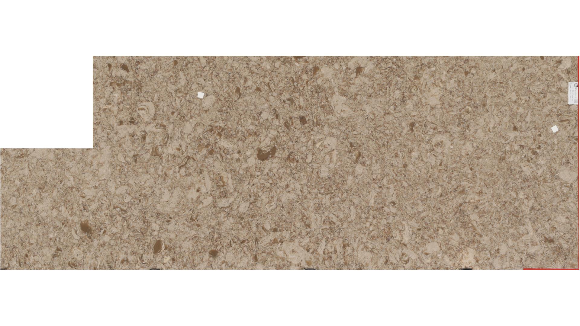 Berkeley Cambria Slabs