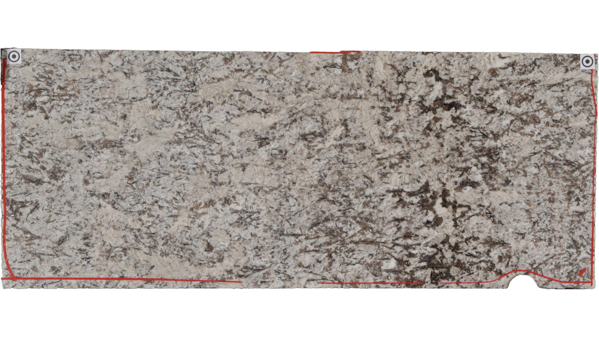 Star White Granite Slabs