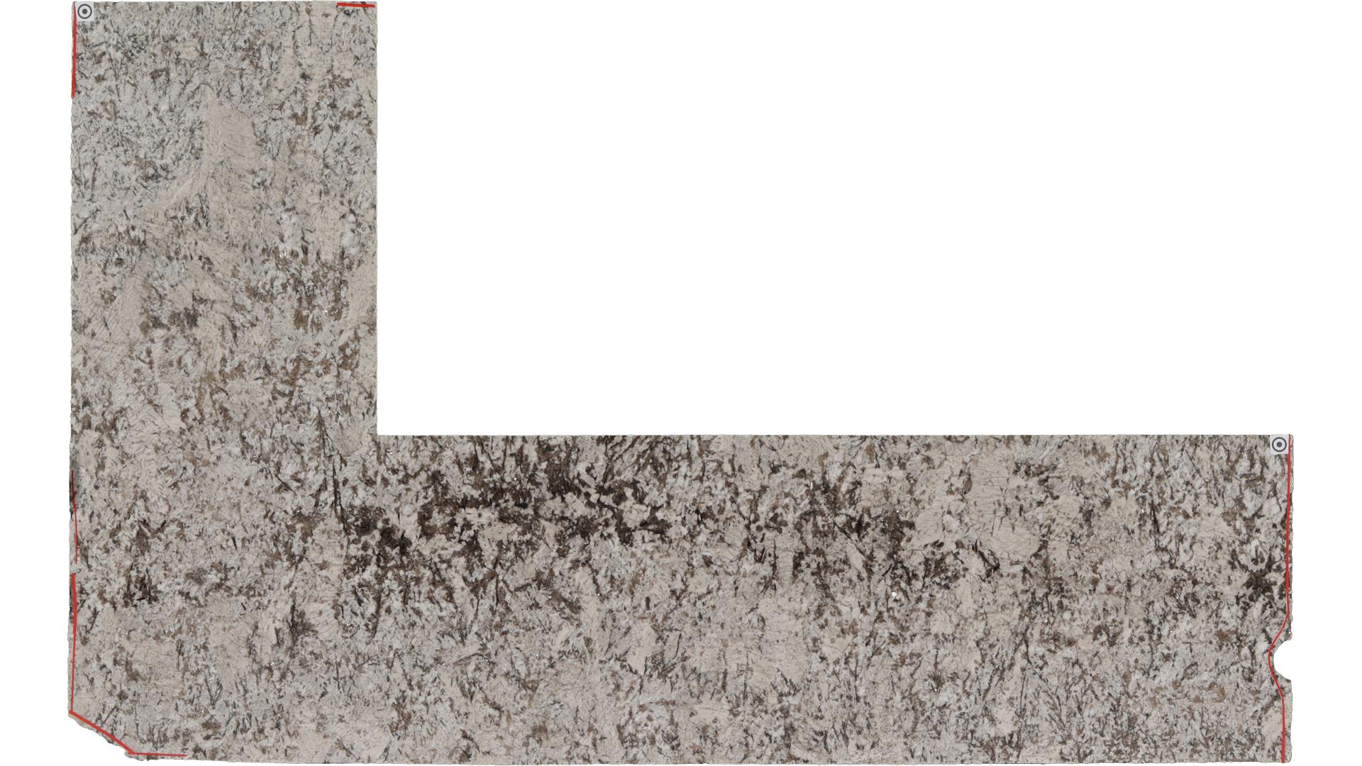 Star White Granite Slabs