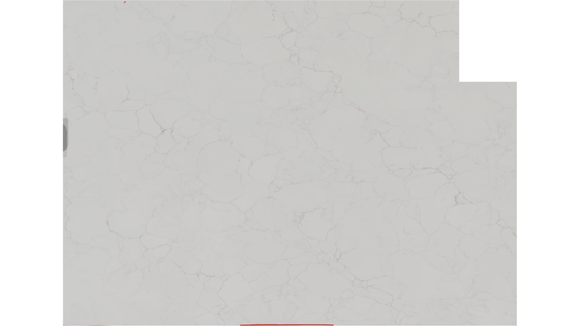 Calacatta Fioressa Q Quartz Slabs