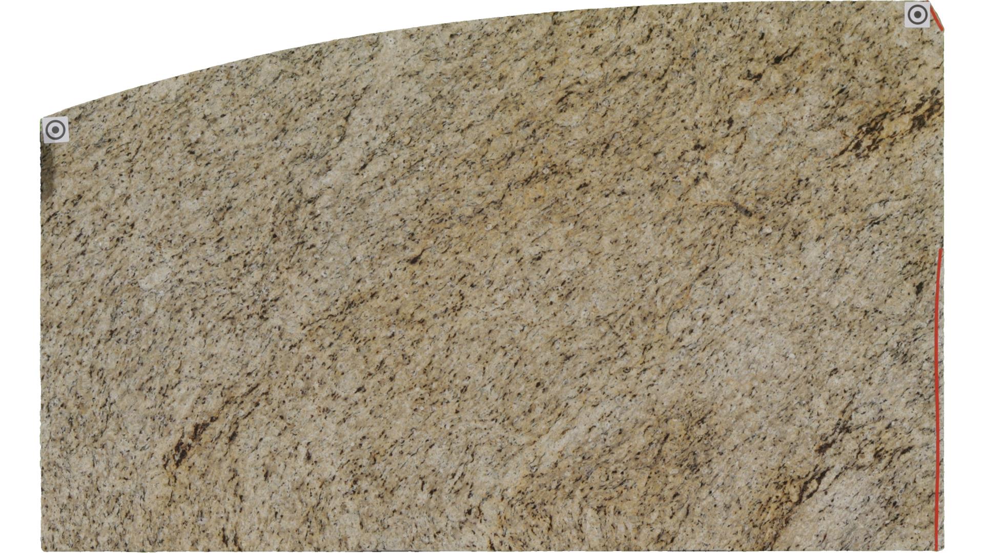 Giallo Ornamental Granite Slabs