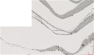 Annicca Cambria