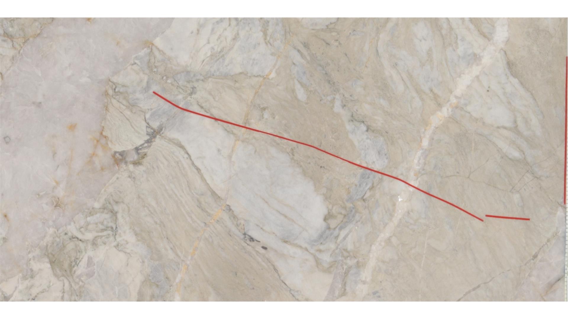 Tempest White Leather Quartzite Slabs