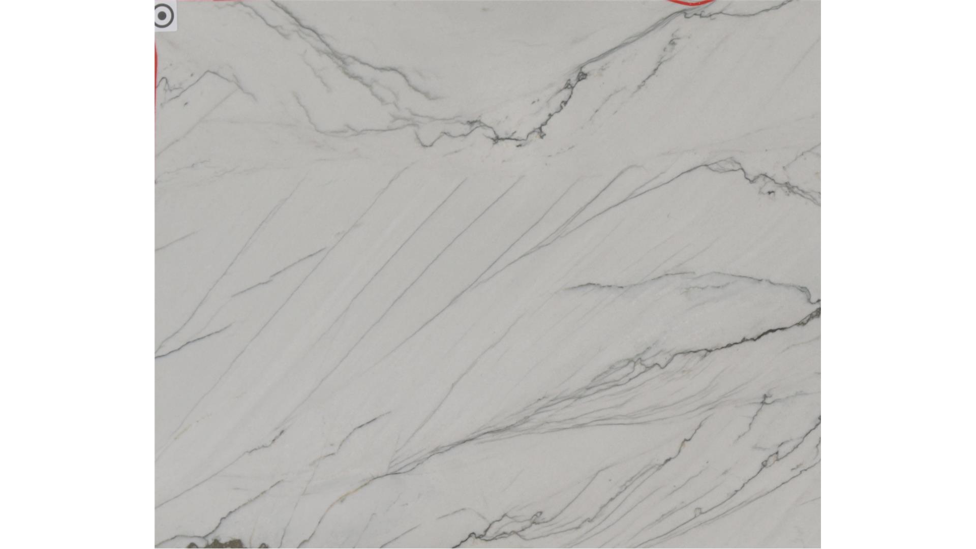 Florida wave Quartzite Slabs