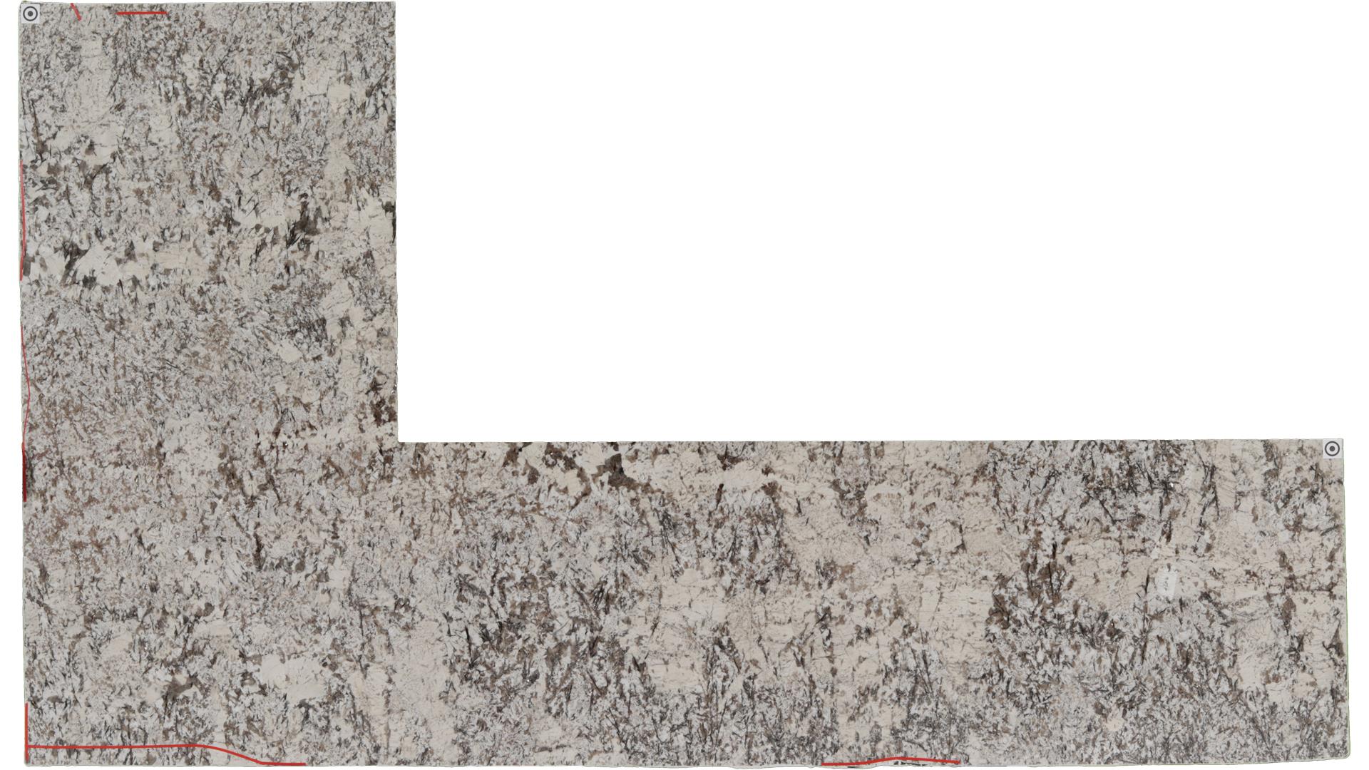 Star White Granite Slabs