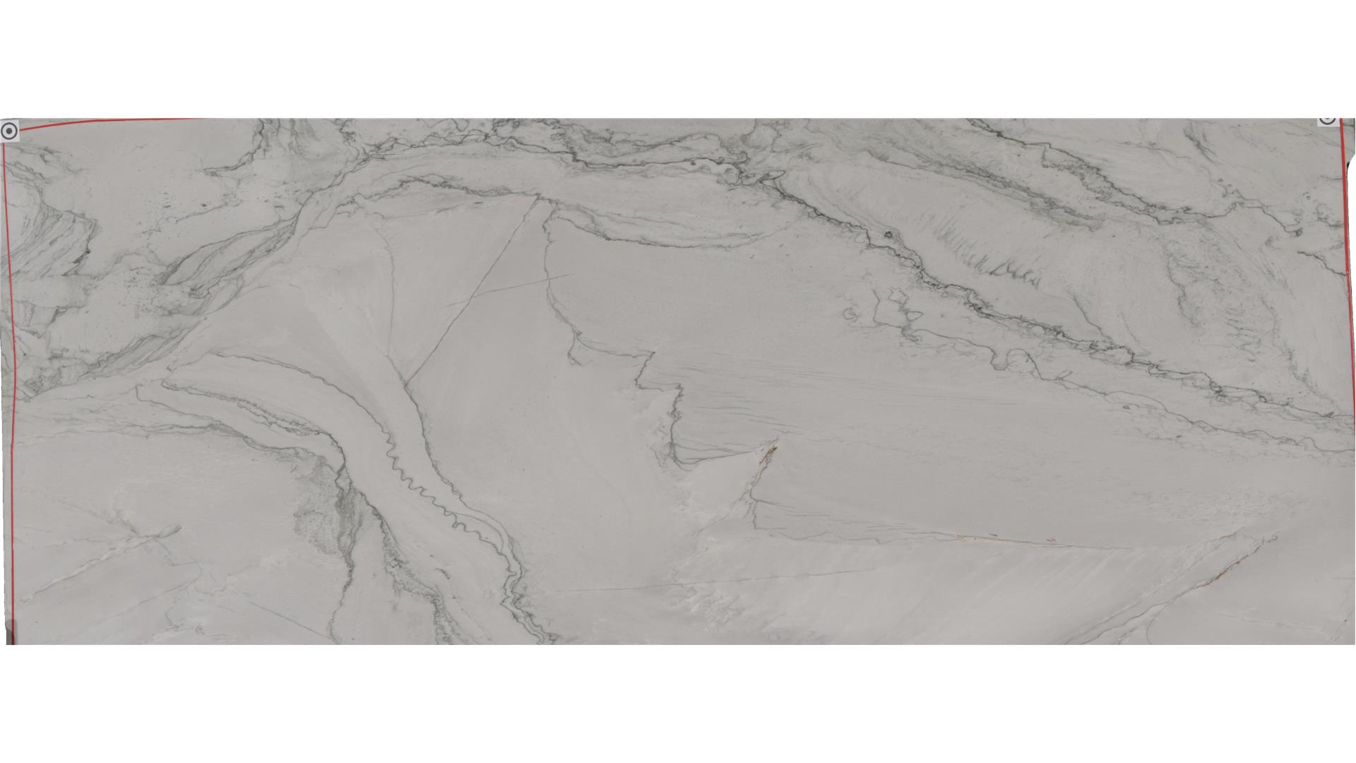 Statuario Quartzite Slabs