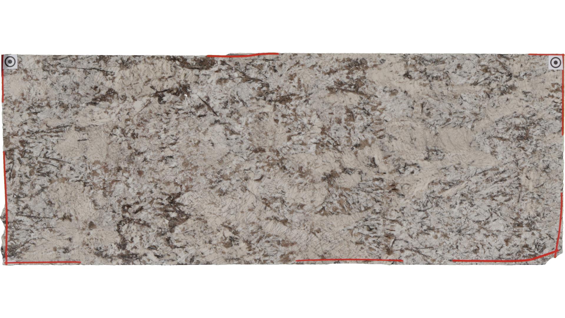 Star White Granite Slabs