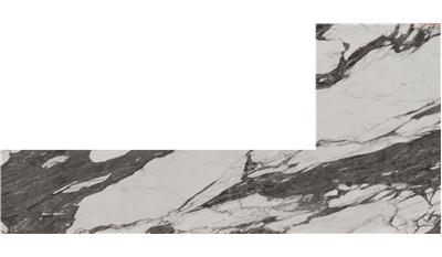 Calacatta Carbone Porcelain